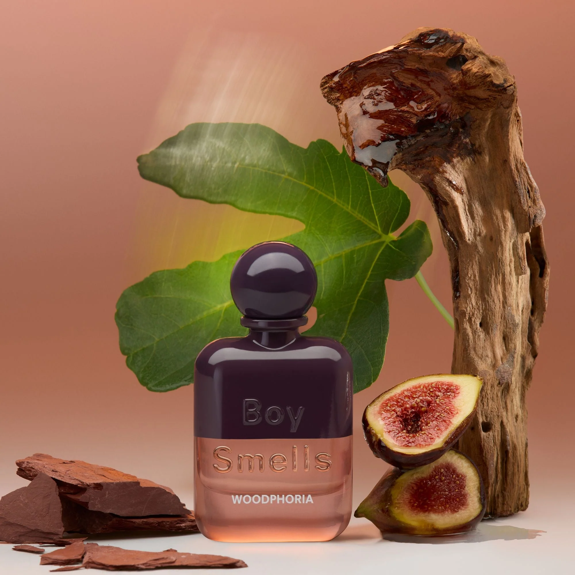 WOODPHORIA Fragrance by Boy Smells - Image 4